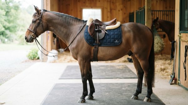 Top saddle pads for enhancing your horse's wither comfort